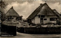 Wustrow Ostseebad - Gärtnerei - Sonstige & Ohne Zuordnung