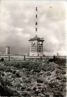 Brocken, Harz - Botanischer Garten Und Brocken - Wernigerode