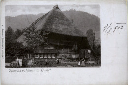 Gutach - Schwarzwaldhaus - Gutach (Breisgau)