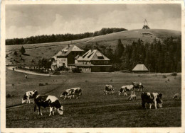 Berghotel Kandel - Waldkirch