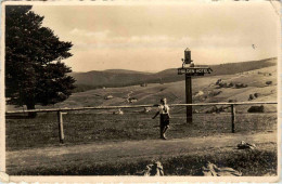 Halde Schauinsland - Freiburg I. Br.