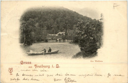 Gruss Aus Freiburg - Waldsee - Freiburg I. Br.