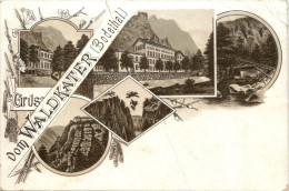 Gruss Vom Waldkater Bodethal - Litho - Autres & Non Classés