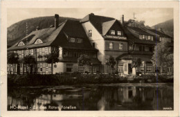 Ilsenburg - Hotel Zu Den Roten Forellen - Ilsenburg