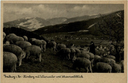 Freiburg - Hirzberg Mit Littenweiler - Schäfer - Freiburg I. Br.