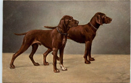 Hunde - Honden