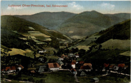 Ober Prechtal - Elzach