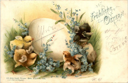 Ostern - Chicken - Pascua