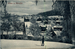 Winter In Bärenfels - Altenberg