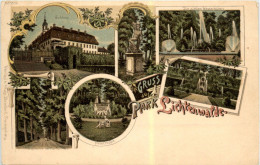 Gruss Aus Park Lichtenwalde - Litho - Niederwiesa