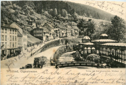 Wildbad - Olgastrasse - Calw