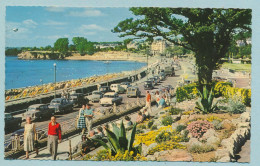 Morris Minor Traveller Austin A30 Ford Consul MK2 Ford Prefect Hillman Minx Torquay - Tropical Gardens And Sea Front - Turismo