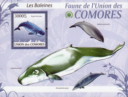 Comores 2009 -  Fauna Marinha - MNH_  FAU029 - Ballenas