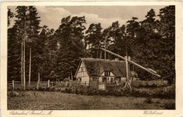 Ostseebad Gral - Waldhaus - Graal-Müritz