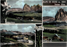 Alpe Di Siusi - Seiser Alm - Altri & Non Classificati