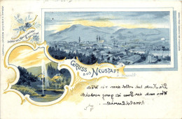 Gruss Aus Neustadt An Der Haardt - Litho - Neustadt (Weinstr.)