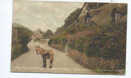 Postcard Devon Lee Swiss Cottage Fuchsia Valley Frith's Unused .donkey. - Otros & Sin Clasificación