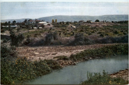 Jericho - Palestine