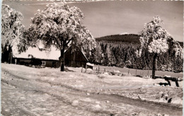 Königskrug Bei Braunlage - Braunlage