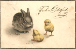 Ostern - Kücken - Pasqua