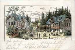 Maixmühle Bei Pillnitz - Litho - Pillnitz