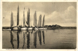 Ausflug Nach Der Hallig - Halligen