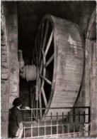 MONT ST MICHEL. - La Roue Monte-charge. ( Personnage ).  .   Non Circulée,  Photo Véritable. - Le Mont Saint Michel