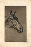 Pferd - Horse - Paarden