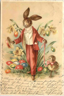 Ostern - Hase - Pâques