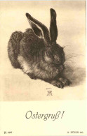 Ostern - Hase - Dürer - Pascua