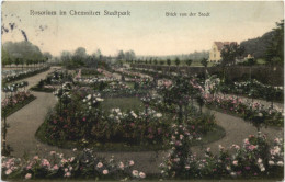 Chemnitz - Rosarium Im Stadtpark - Chemnitz