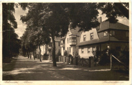 Seehausen - Altmark - Lindenstrasse - Stendal