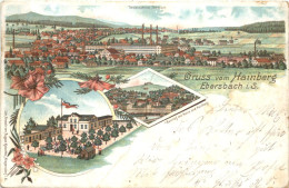 Ebersbach Oberlausitz - Gruss Vom Hainberg - Litho - Ebersbach (Löbau/Zittau)