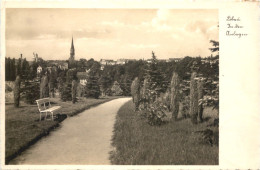 Löbau In Sachsen - In Den Anlagen - Löbau