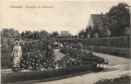 Chemnitz - Rosarium Im Stadtpark - Chemnitz