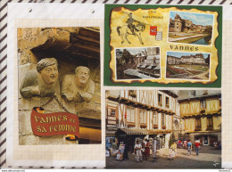 8AK3772 VANNES Lot De 3 Cartes MULTI VUES PLACE  2  SCANS - Vannes