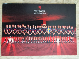 Card Team Tudor - 2024 - Cycling - Cyclisme - Ciclismo - Wielrennen - Cycling