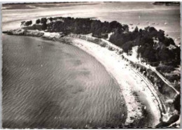 ILE Aux MOINES. -  Plage Du Drenn       En Avion.        Non Circulée - Ile Aux Moines