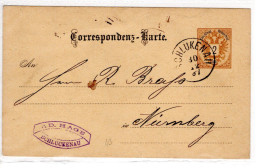 Entier De Schlukenau - Lettres & Documents