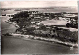 ILE Aux MOINES. -  Vue Générale De L'île.     En Avion.        Non Circulée.  Année 1959 - Ile Aux Moines