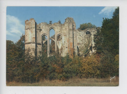 Dammarie Les Lys - Belles Ruines De L'abbaye Du Lys Fondée 1224 Par Blanche De Castille (cp Vierge - Dammarie Les Lys