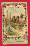 X8 FANTAISIES OISEAU OISEAUX ROITELETS BAVARDAGE CARTE GAUFREE SOUVENIR EN 1907 - Vogels