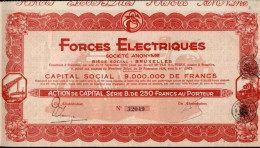 FORCES ELECTRIQUES; Action De Capital - Electricity & Gas