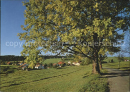 11703790 Franches Montagnes La Bosse Pres Saignelegier La Chaux-de-Fonds - Autres & Non Classés