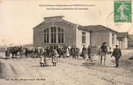 D78  GRIGNON  École Nationale D'Agriculture Les Nouveaux Laboratoires De Zootechnie - Grignon