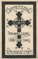 DP. HENRICUS CALLEMIN - VANLANDSCHOOT ° HEULE 1847 - + MOORSEELE 1892 - Religion & Esotericism