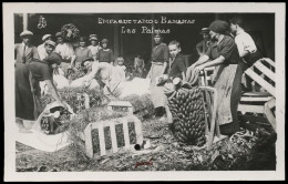 LAS PALMAS 1930 "Empaquetando Bananas" - La Palma