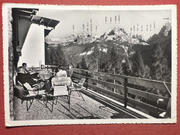 Cartolina - Le Dolomiti Di Brenta Dal Ristorante La Fontanella ( Trento ) - 1965 - Trento