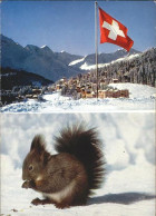 11703288 Arosa GR Totalansicht Eichhörnchen Arosa - Other & Unclassified