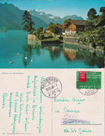 AK  "Ebligen Am Brienzersee"  Brienz - Kaltbrunn - Rufi         1960 - Covers & Documents